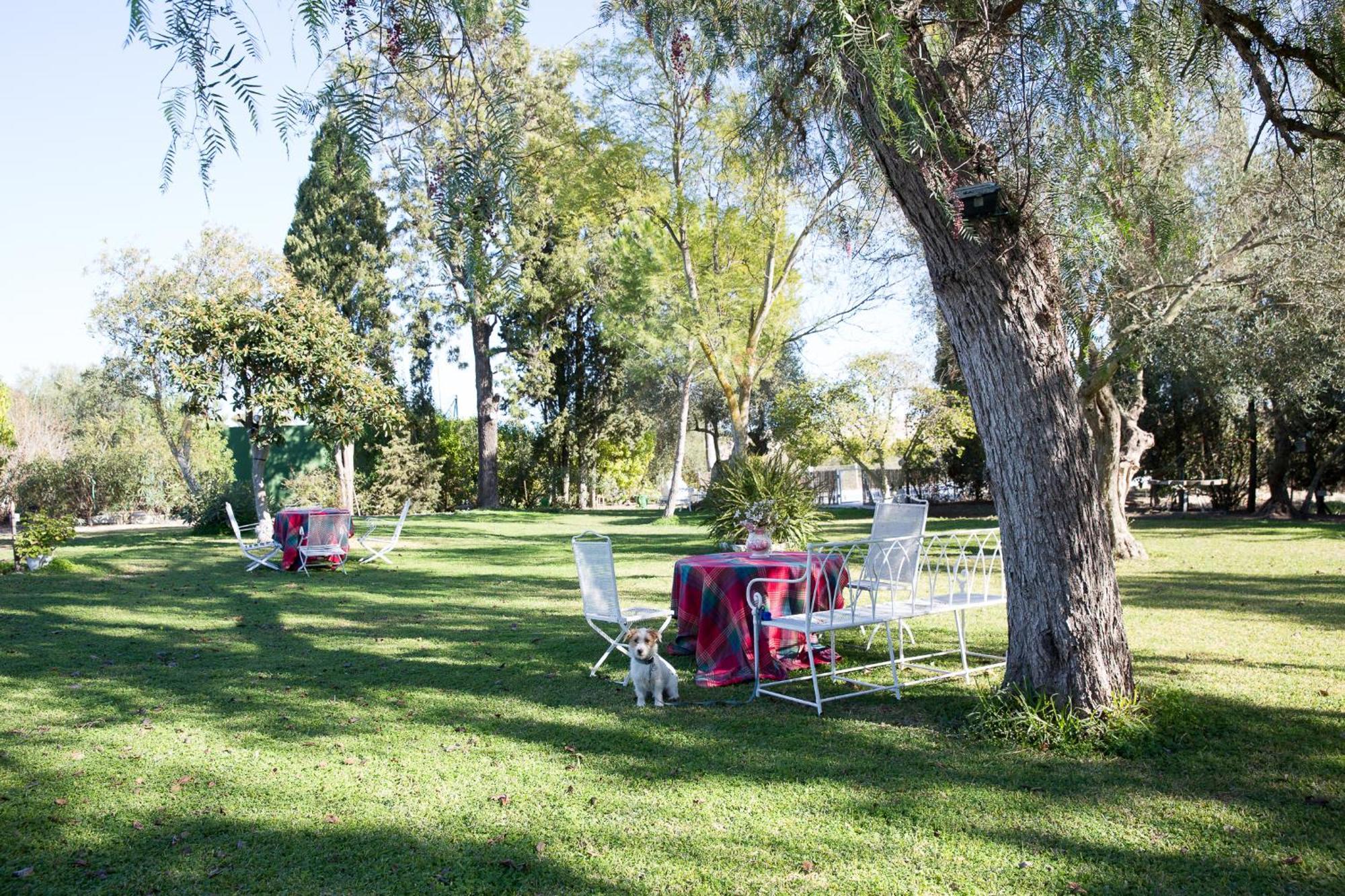 Cortijo Rural La Mariscala Βίλα Χέρεζ Εξωτερικό φωτογραφία