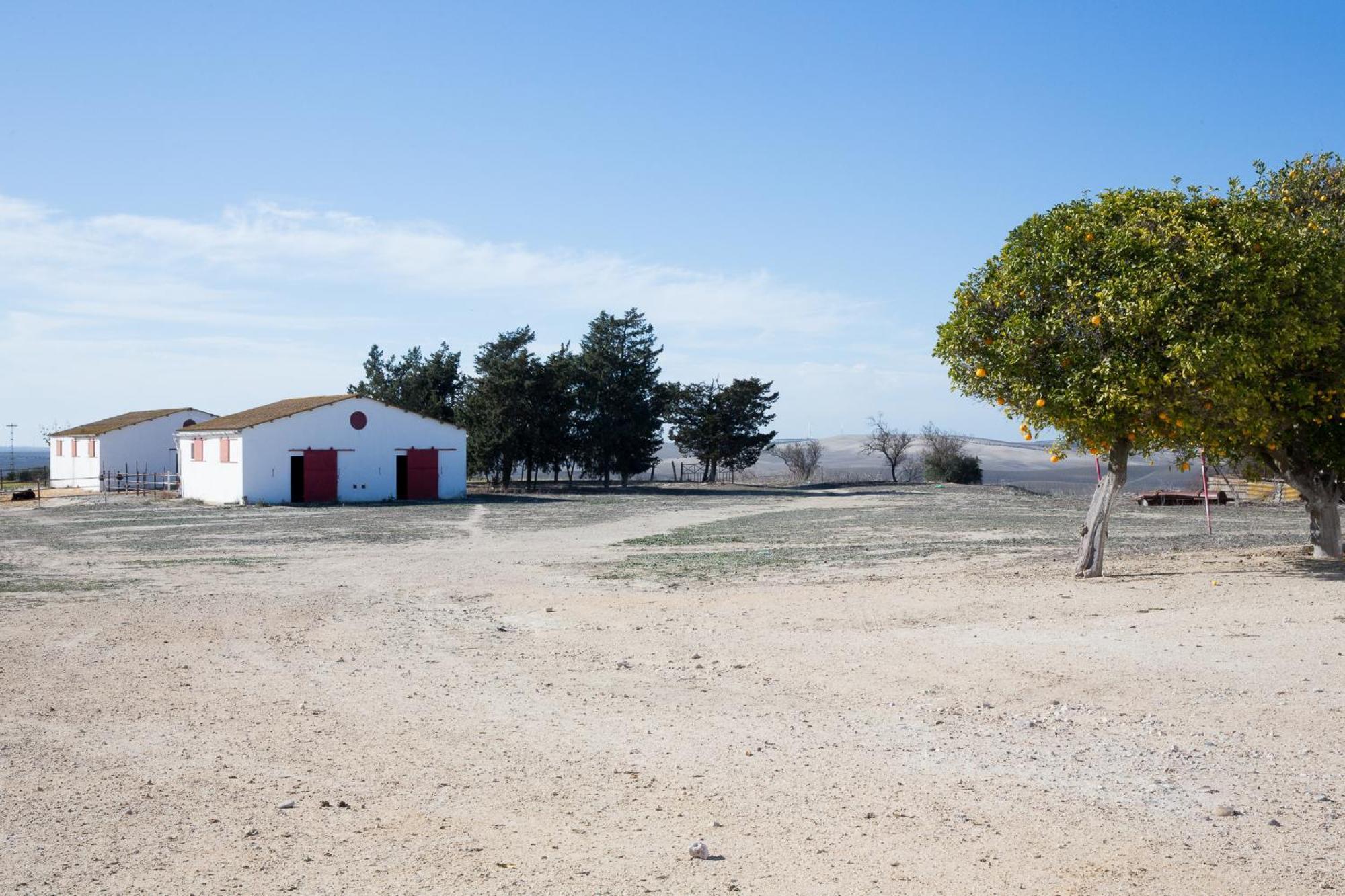 Cortijo Rural La Mariscala Βίλα Χέρεζ Εξωτερικό φωτογραφία