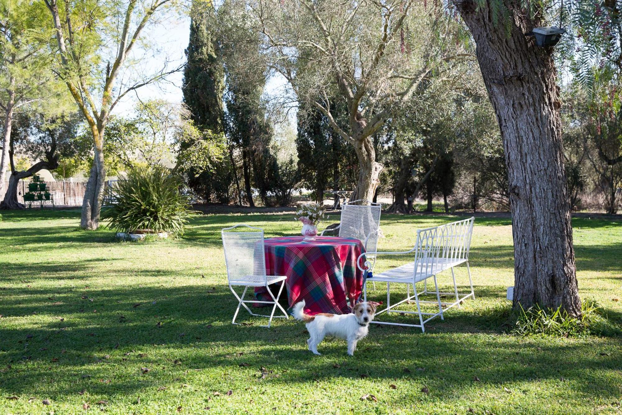 Cortijo Rural La Mariscala Βίλα Χέρεζ Εξωτερικό φωτογραφία
